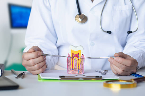 Best Urgent Dental Care for Toothache in Lely Resort, FL